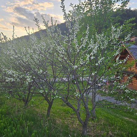 Le Repaire Viking Bed and Breakfast Sainte-Rose-du-Nord Esterno foto